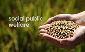 Stake(�й���)�ٷ���վ