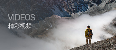 Stake(�й���)�ٷ���վ