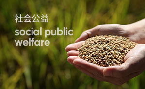 Stake(�й���)�ٷ���վ